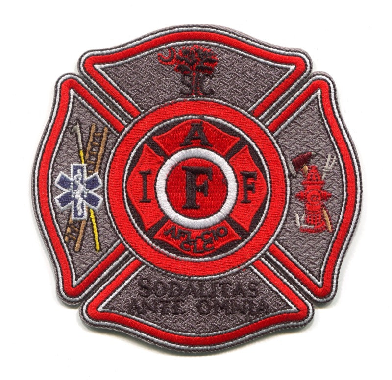 Georgetown County Fire EMS Dept IAFF Local 4526 Patch South Carolina SC v2