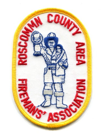 Rosscommn County Area Firemans Association Fire Patch Michigan MI